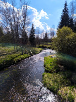 /album/fotogalerie-uvod/1000025726-jpg/
