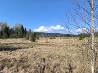 /album/fotogalerie-uvod/1000025727-jpg/